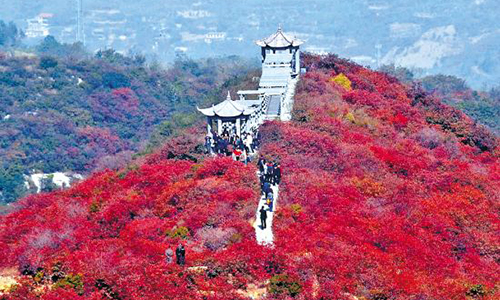 1552706881646176.jpg 巩义市竹林镇-500.jpg