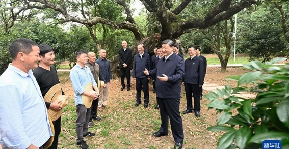 根子镇柏桥村.jpg