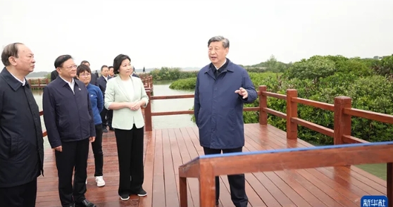 麻章区.jpg