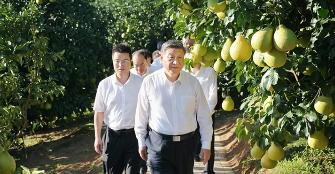 1763697411460658.png 2.png