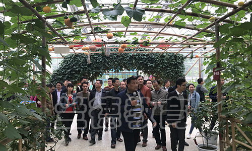 蔬菜 170507164047.jpg