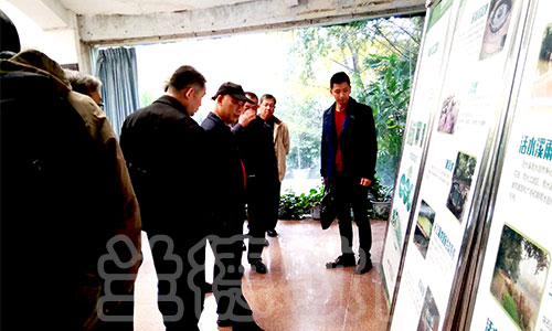 1543544774668595.jpg IMG_20181126_152054.jpg