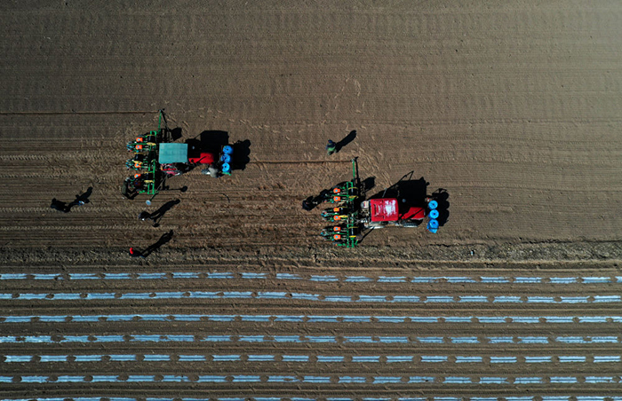 1585560642183874.jpg 1125785345_15854966733351n.jpg