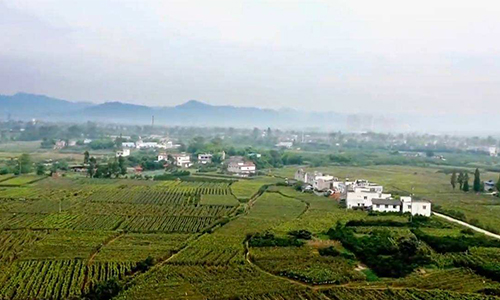 1593313839674766.jpg 宝胜村500.jpg