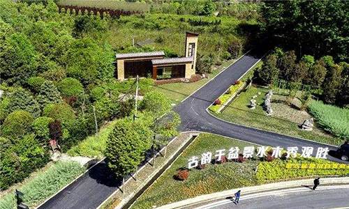 1594631546979659.jpg 崇州市严家弯湾村-500.jpg