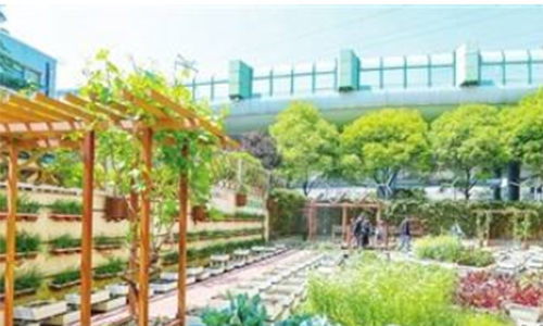 1596684186972312.jpg 徐汇区凌云街道梅陇三村-500.jpg