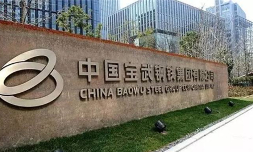 中国宝武钢铁集团有限公司-500.jpg