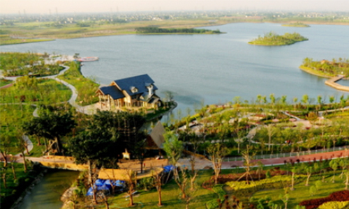 1597822472121707.jpg 东林村-500.jpg