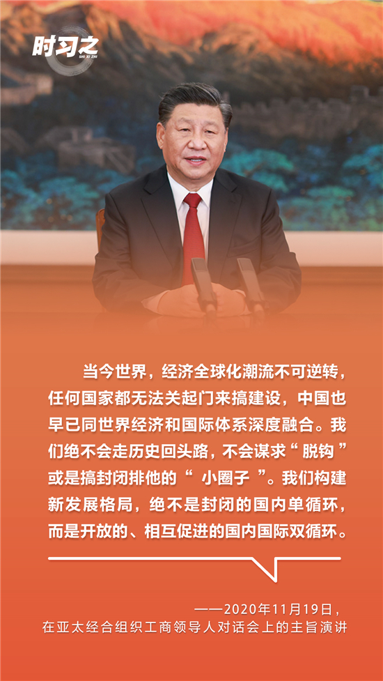 1608541142124195.jpg 10.jpg