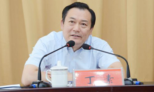 丁素-500.jpg