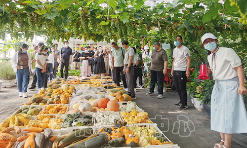 2022年乡村人才振兴培训班（2022020326） (3).png