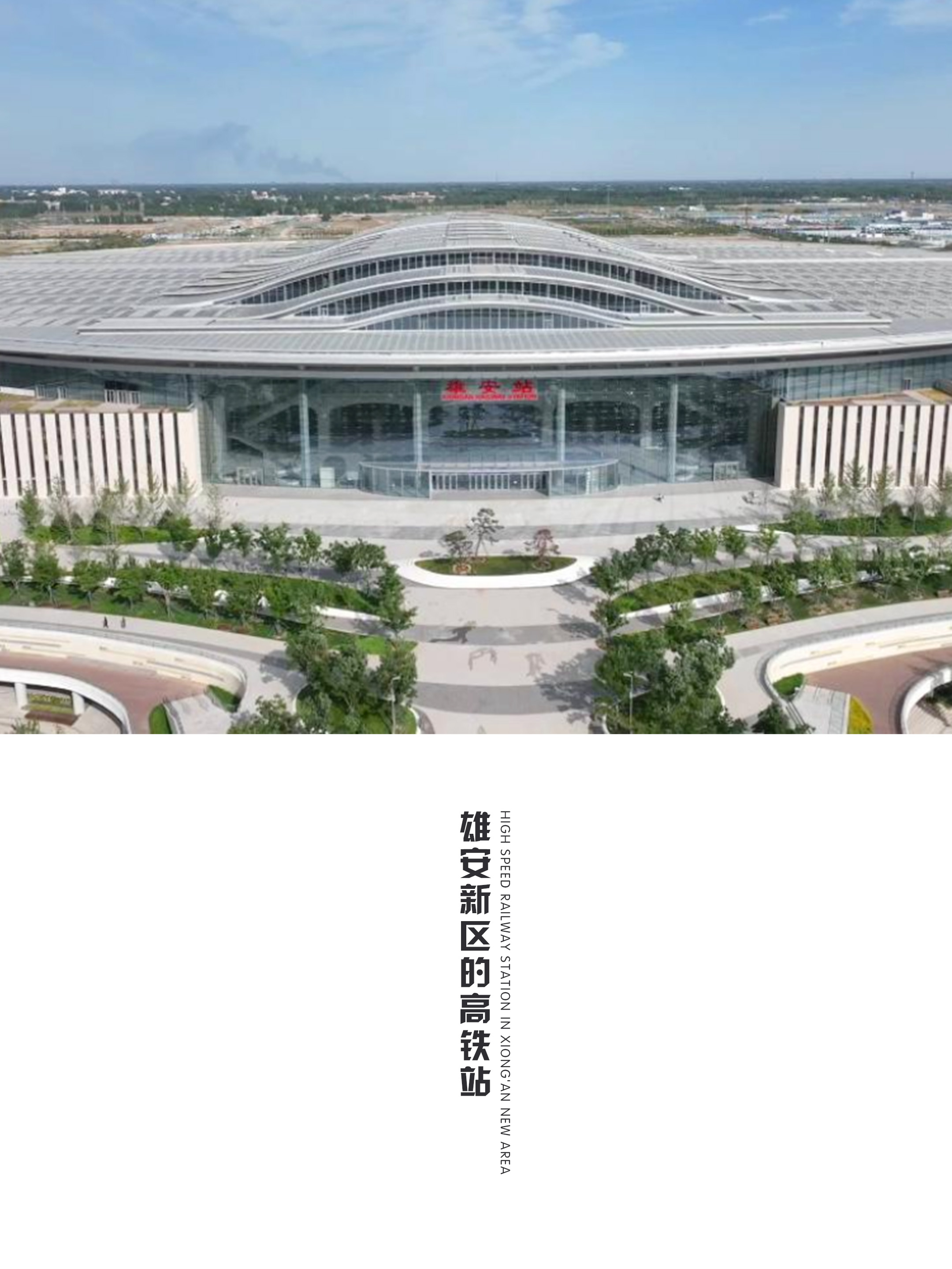 1684804785980007.jpg 1684804785980007.jpg