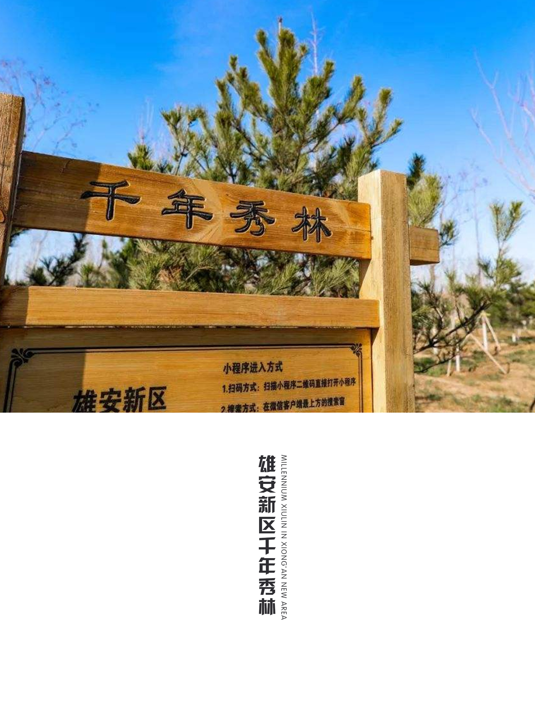 1684804791920596.jpg 1684804791920596.jpg