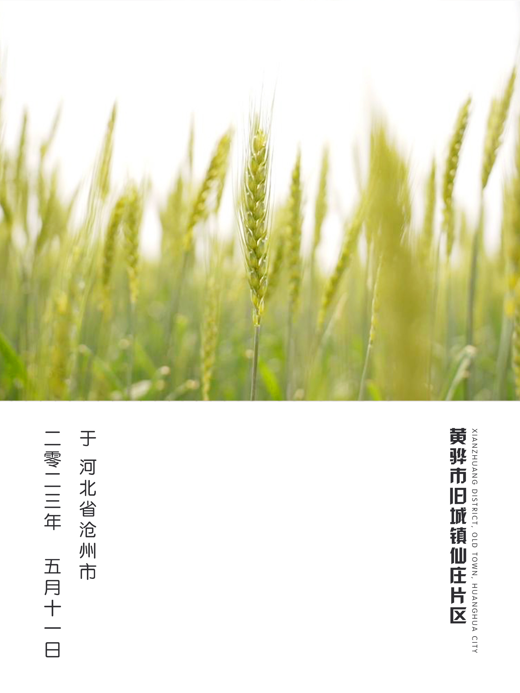 1684804850803845.jpg 1684804850803845.jpg