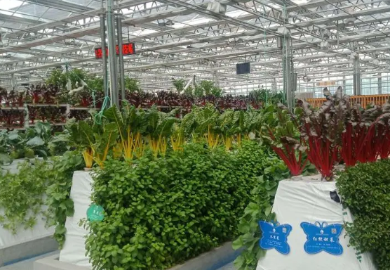 1713100990328193.png 1713100990328193.png