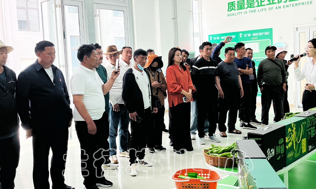 1715064463102084.jpg “干赴山东开展乡村振兴”培训班(2024010948) (4).jpg