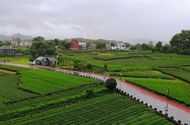 1722474606181508.jpg 西湖区长埭村.jpg