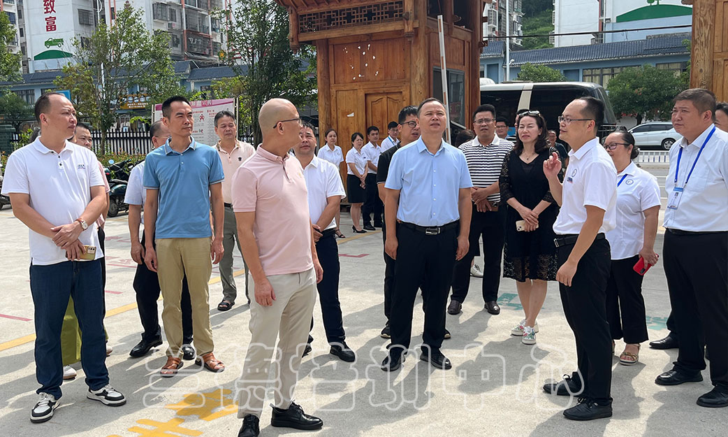 1724054469881446.jpg 1724054469881446.jpg