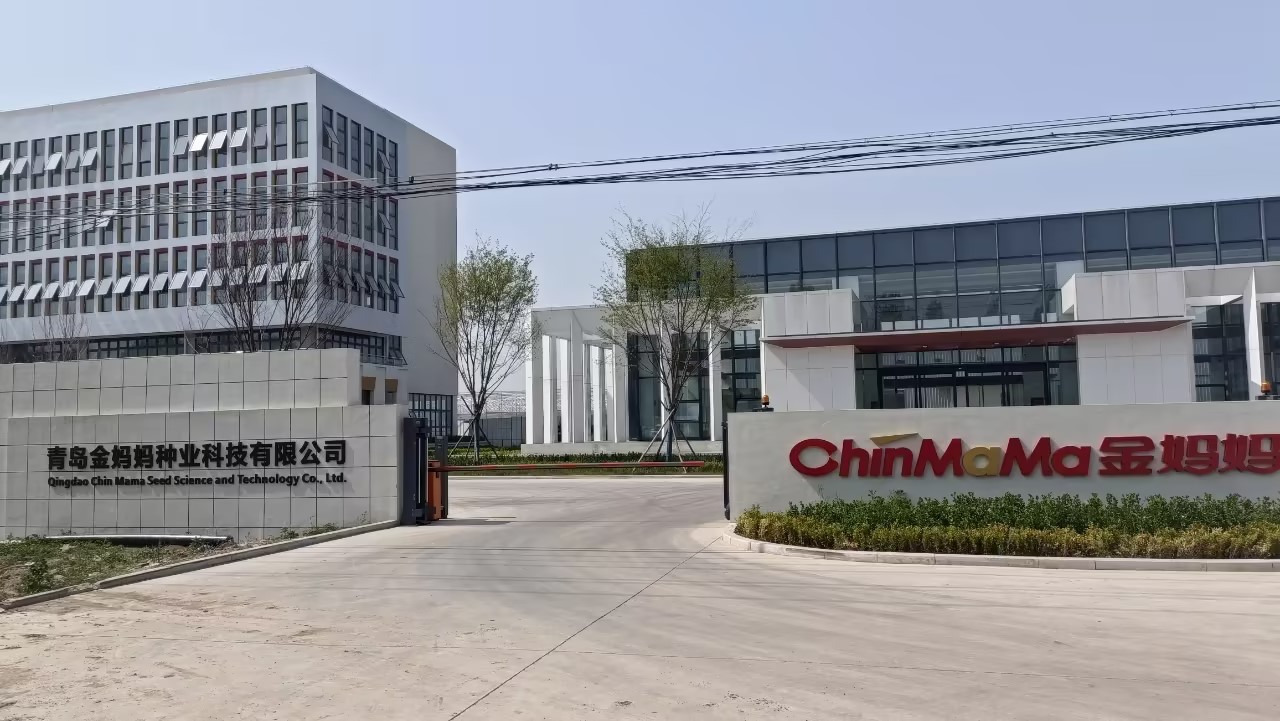 1739837209840974.jpg 金妈妈.jpg