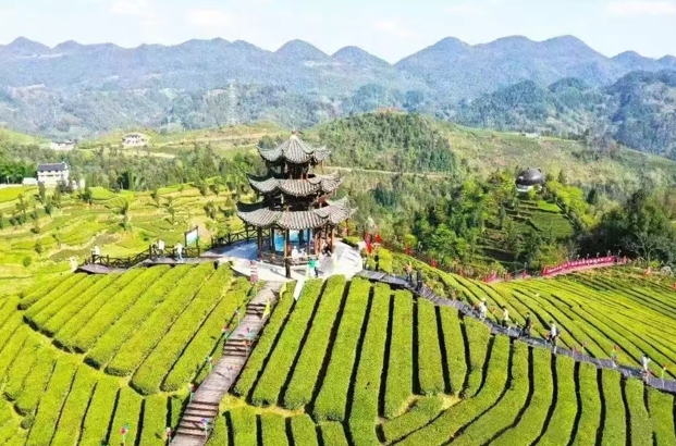 1749191804694431.jpg 伍家台村.jpg