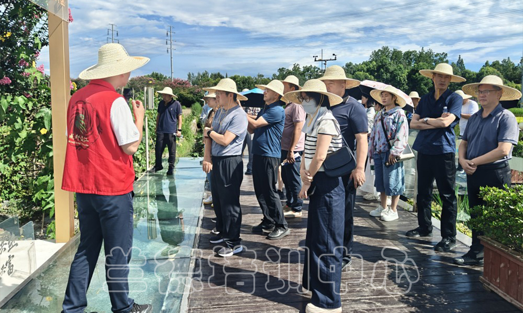 1753945766903808.jpg 1753945766903808.jpg