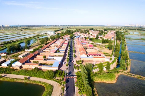 1757774238905642.jpg 宝坻区牛家牌镇赵家湾村.jpg