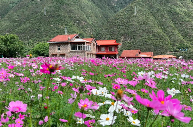 1758673656331515.jpg 马尔康镇英波洛村.jpg