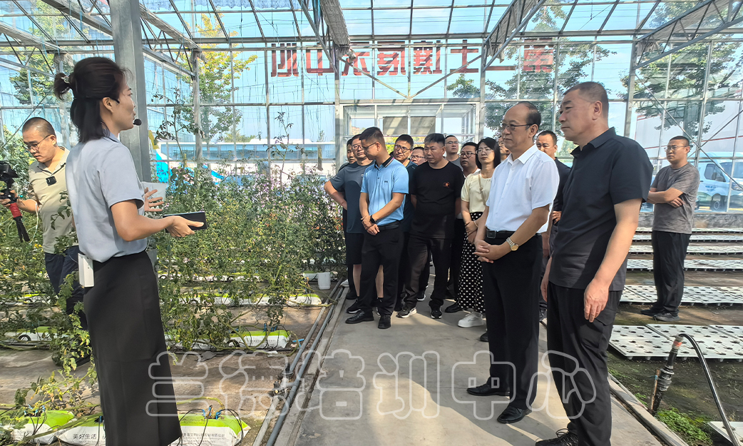 1758678446988292.jpg 1758678446988292.jpg