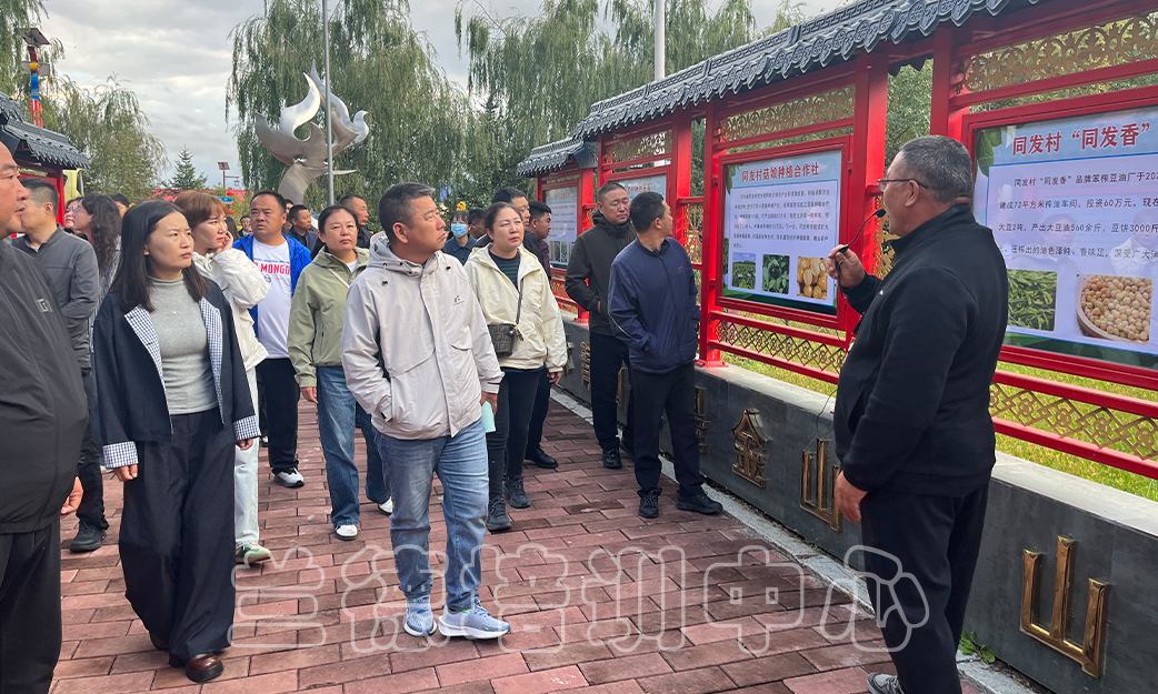 1760065366612323.jpg 1760065366612323.jpg