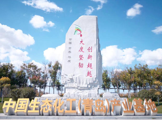1760174002808463.jpg 青岛新河生态化工科技产业基地中国生态化工(青岛)产业基地.jpg