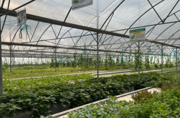 1760226168176081.jpg 渔耕田·鱼菜共生农场.jpg