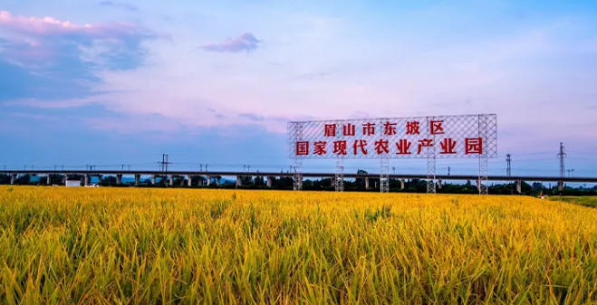 1761007148747931.jpg 眉山市永丰村.jpg