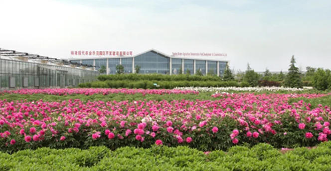 1761910906186141.jpg 咸阳市杨陵区杨凌现代农业科技园.jpg