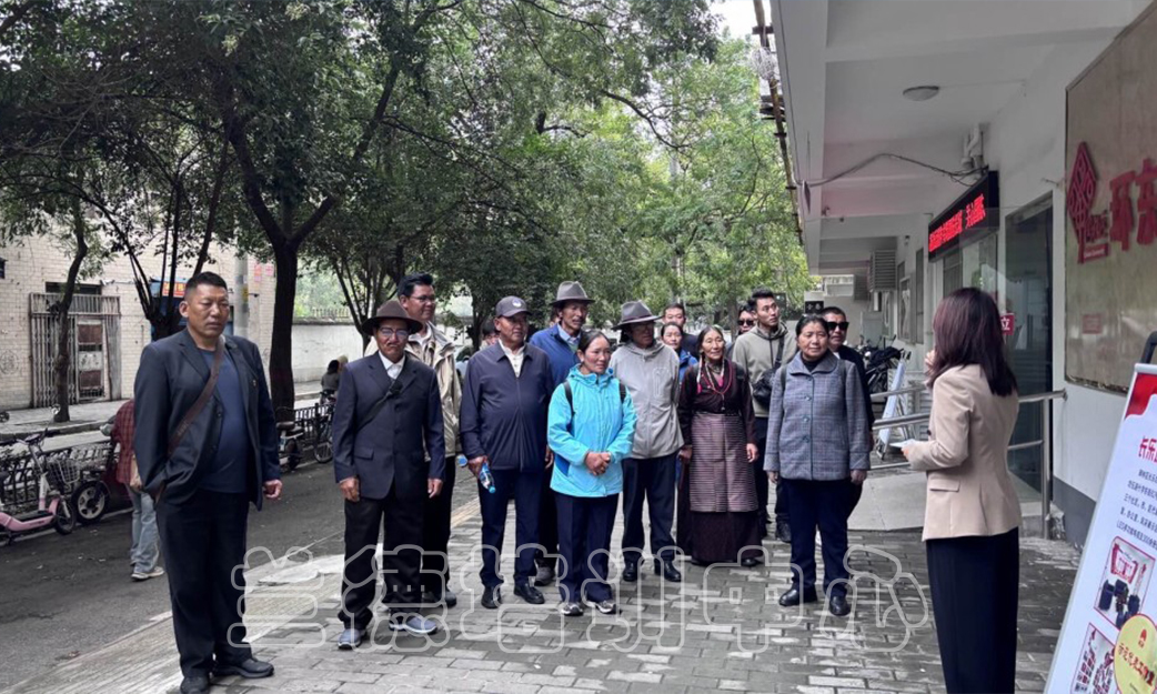 1762155725699802.jpg 1762155725699802.jpg