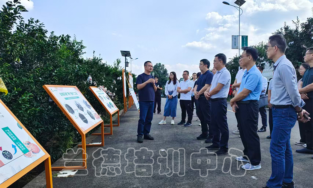 1762243789912304.jpg 1762243789912304.jpg