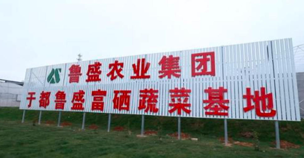 1765616790933274.jpg 山东鲁盛农业集团.jpg