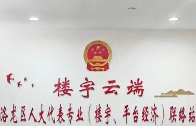 洛龙区人大代表联络站.jpg