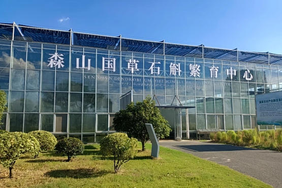 森宇控股集团.jpg