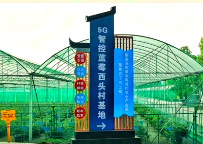 1789692946898353.png 西头村.png