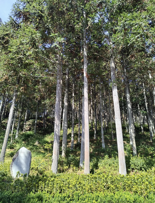1792714878116169.png 三库基地1212.png